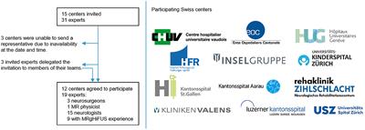 Consensus Statement on High-Intensity Focused Ultrasound for Functional Neurosurgery in Switzerland